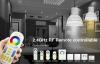 12V MR16 4W RGB+CCT RADIO FREQUENCY LED GLOBE